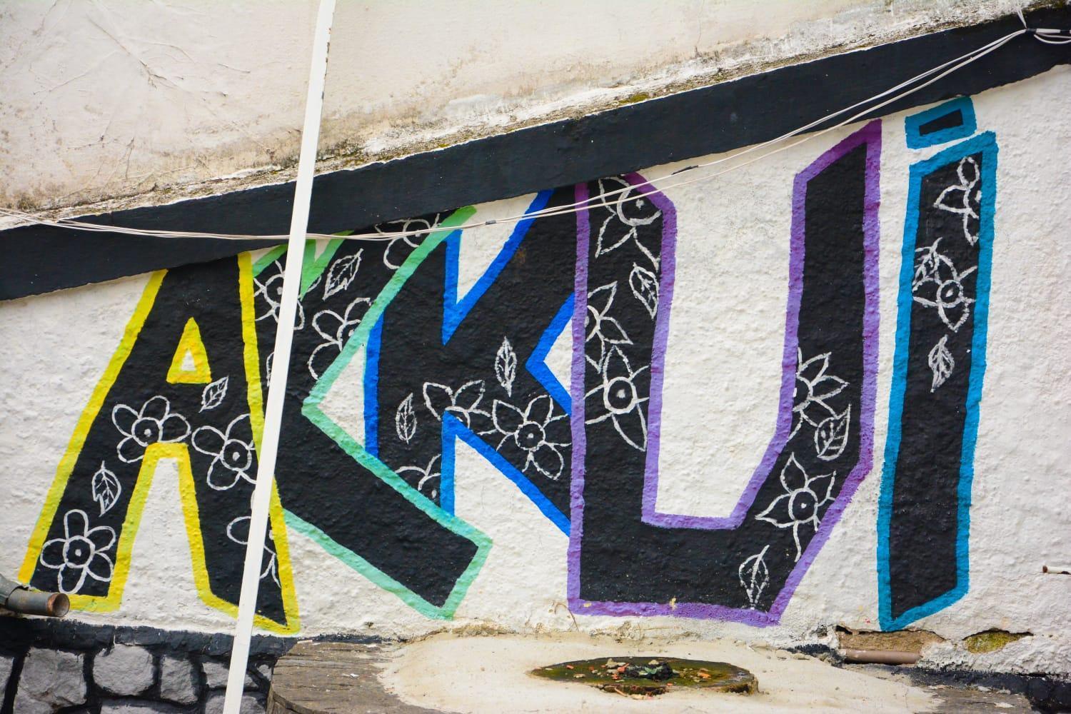 ساو باولو Mansao Akkui Hostel المظهر الخارجي الصورة